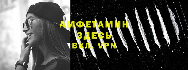 молекула духа Арсеньев