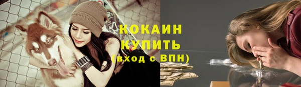 молекула духа Арсеньев