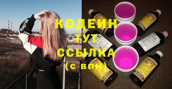 молекула духа Арсеньев