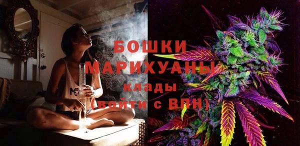 молекула духа Арсеньев