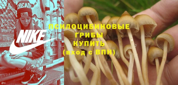 молекула духа Арсеньев