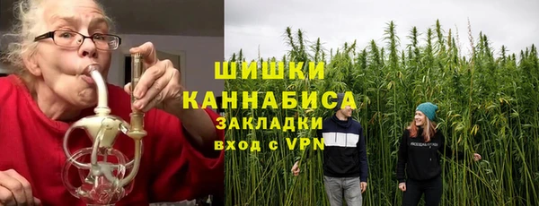 сатива Аркадак