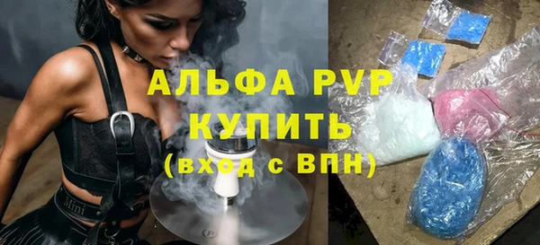 молекула духа Арсеньев