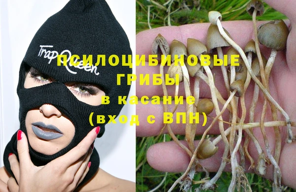 молекула духа Арсеньев